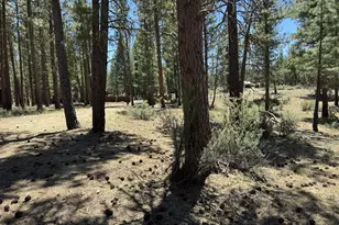 15651 Marcee Way, Chiloquin, OR 97624 - Photo 7