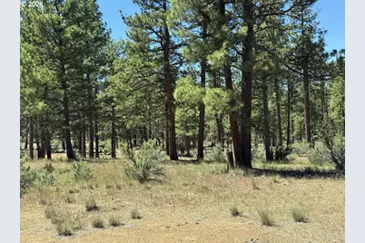 15651 Marcee Way, Chiloquin, OR 97624 - Photo 43