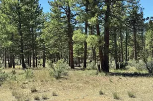 15651 Marcee Way, Chiloquin, OR 97624 - Photo 43