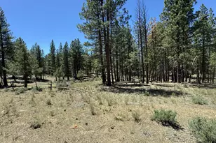 15651 Marcee Way, Chiloquin, OR 97624 - Photo 13