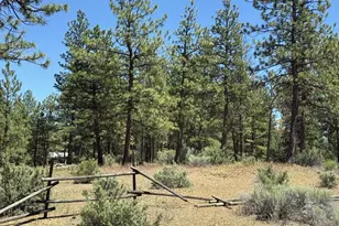 15651 Marcee Way, Chiloquin, OR 97624 - Photo 37