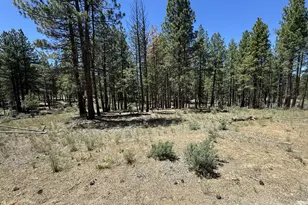 15651 Marcee Way, Chiloquin, OR 97624 - Photo 11