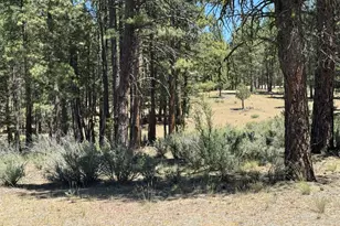 15651 Marcee Way, Chiloquin, OR 97624 - Photo 47