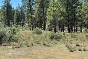 15651 Marcee Way, Chiloquin, OR 97624 - Photo 41