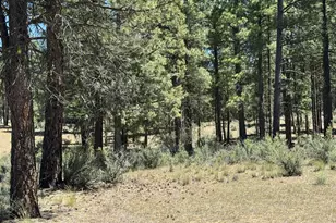 15651 Marcee Way, Chiloquin, OR 97624 - Photo 45
