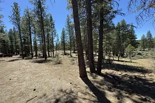 15651 Marcee Way, Chiloquin, OR 97624 - Photo 19