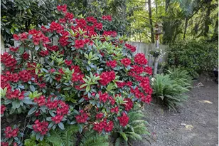 25222 E Welches Rd, Welches, OR 97067 - Photo 7