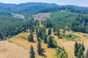 Upper Calapooia Dr, Sweet Home, OR 97386 - Photo 1