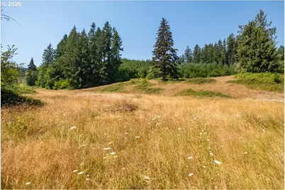 Upper Calapooia Dr, Sweet Home, OR 97386 - Photo 17