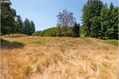 Upper Calapooia Dr, Sweet Home, OR 97386 - Photo 23