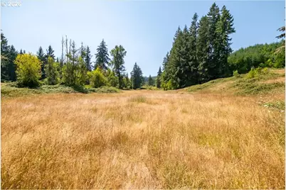 Upper Calapooia Dr, Sweet Home, OR 97386 - Photo 19