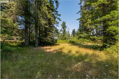 Upper Calapooia Dr, Sweet Home, OR 97386 - Photo 13