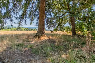 Upper Calapooia Dr, Sweet Home, OR 97386 - Photo 9
