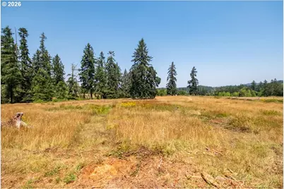 Upper Calapooia Dr, Sweet Home, OR 97386 - Photo 11