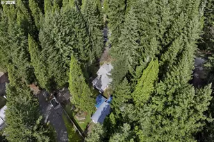 56642 McKenzie Hwy, McKenzie Bridge, OR 97413 - Photo 47