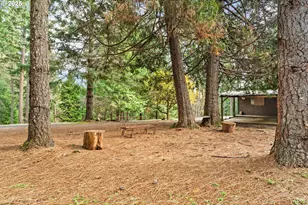 414 Callahan Rd, Roseburg, OR 97471 - Photo 33