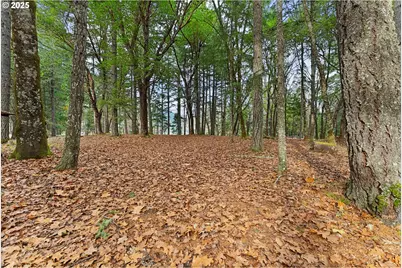 414 Callahan Rd, Roseburg, OR 97471 - Photo 27