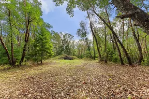 414 Callahan Rd, Roseburg, OR 97471 - Photo 31