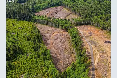 1319 Eufaula Heights Rd, Longview, WA 98632 - Photo 5