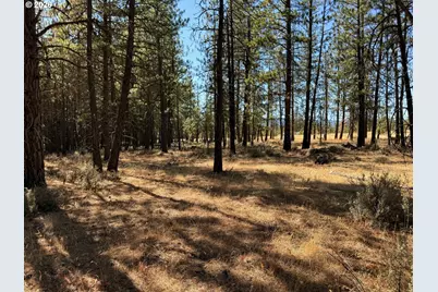 Box Canyon Buckhorn #1, Goldendale, WA 98620 - Photo 11