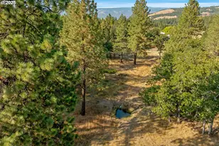 7000 7 Mile Hill Rd, The Dalles, OR 97058 - Photo 41