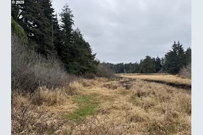 01 Petitt Ln, North Bend, OR 97459 - Photo 9