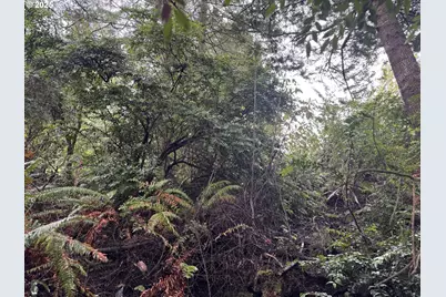 01 Petitt Ln, North Bend, OR 97459 - Photo 7