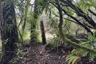 01 Petitt Ln, North Bend, OR 97459 - Photo 1