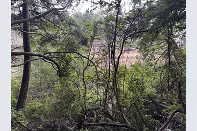 01 Petitt Ln, North Bend, OR 97459 - Photo 5