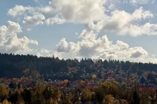 16800 SW Dowitcher Ln, Beaverton, OR 97007 - Photo 47