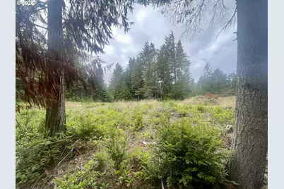 Sandpoint Rd #Lot 11, North Bend, OR 97459 - Photo 25