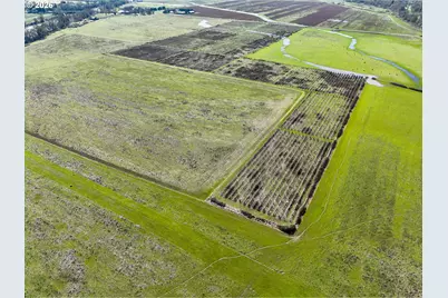 687 Hubbard Creek Rd, Umpqua, OR 97486 - Photo 13