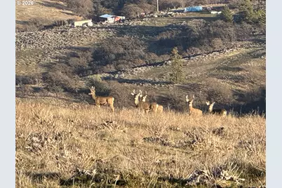 Vista Dr, Goldendale, WA 98620 - Photo 5