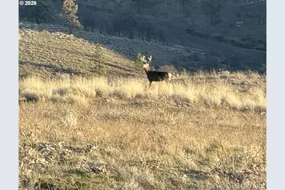 Vista Dr, Goldendale, WA 98620 - Photo 1