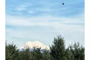 72 Blue Mountain Rd, Castle Rock, WA 98611 - Photo 39