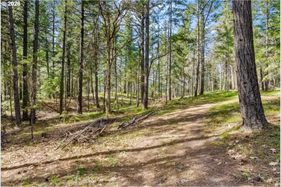 Paradise Ridge Rd, Mosier, OR 97040 - Photo 13