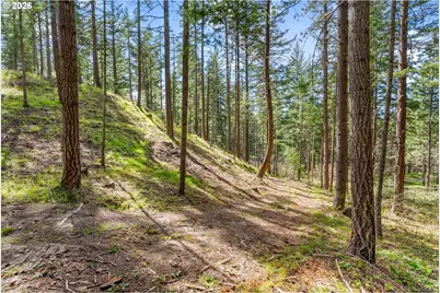 Paradise Ridge Rd, Mosier, OR 97040 - Photo 7