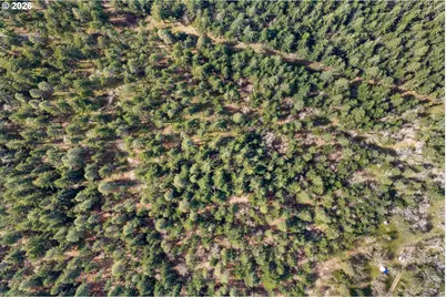 Paradise Ridge Rd, Mosier, OR 97040 - Photo 17