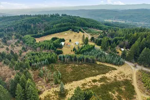 24450 NW Pumpkin Ridge Rd, North Plains, OR 97133 - Photo 3