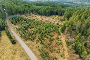 24450 NW Pumpkin Ridge Rd, North Plains, OR 97133 - Photo 7