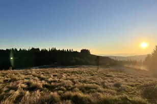 24450 NW Pumpkin Ridge Rd, North Plains, OR 97133 - Photo 9