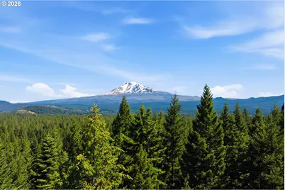 248 Jennings Rd, Trout Lake, WA 98650 - Photo 41