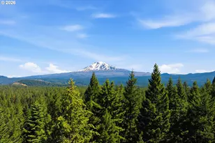 248 Jennings Rd, Trout Lake, WA 98650 - Photo 41