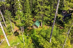 248 Jennings Rd, Trout Lake, WA 98650 - Photo 39