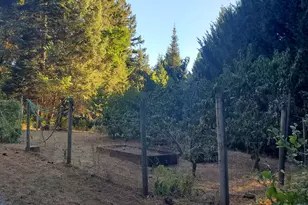 862 Autumn Ln, Glendale, OR 97442 - Photo 41