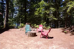 Cabin 44 Northwoods, Cougar, WA 98616 - Photo 3