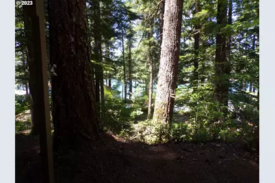 Cabin 44 Northwoods, Cougar, WA 98616 - Photo 31