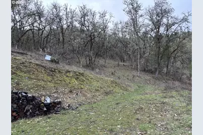 996 SE Eagles View Dr, Roseburg, OR 97470 - Photo 5