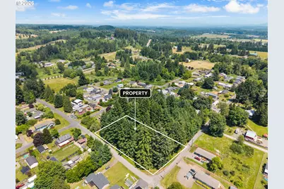 0 E St, Vader, WA 98593 - Photo 3