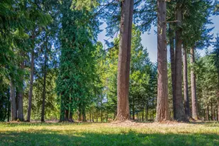 34281 Millard Rd, Warren, OR 97053 - Photo 41